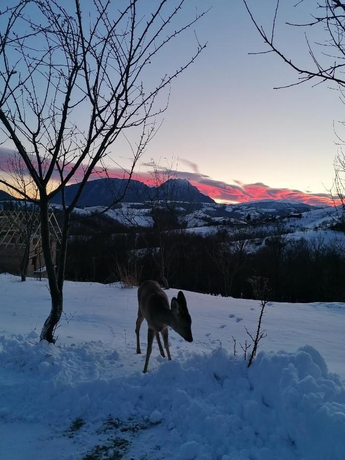 Conacul Elenei Villa Poiana Mărului Eksteriør billede