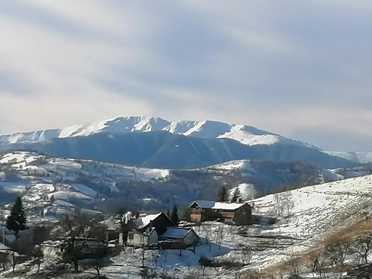 Conacul Elenei Villa Poiana Mărului Eksteriør billede