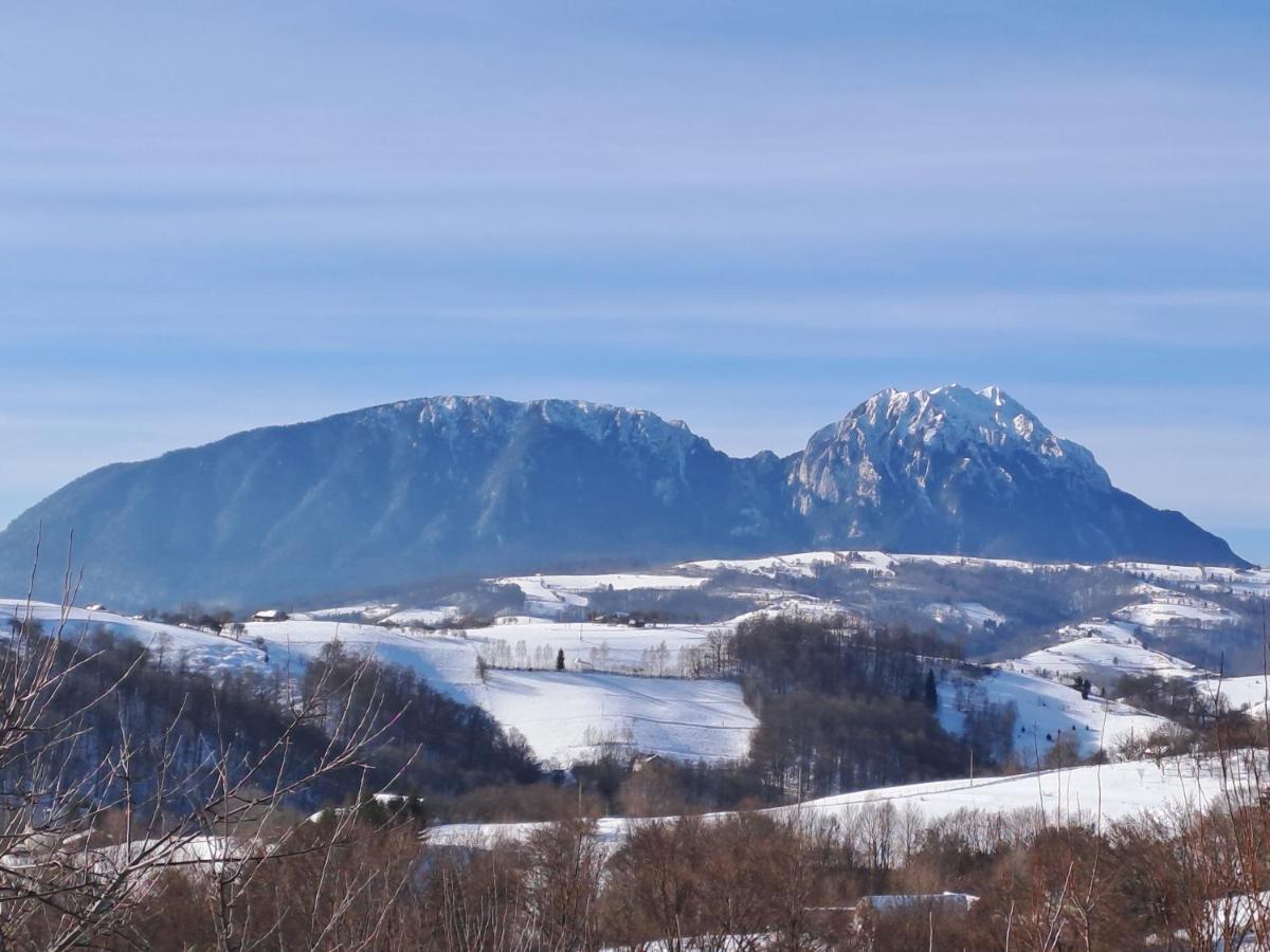 Conacul Elenei Villa Poiana Mărului Eksteriør billede