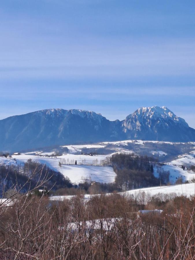 Conacul Elenei Villa Poiana Mărului Eksteriør billede